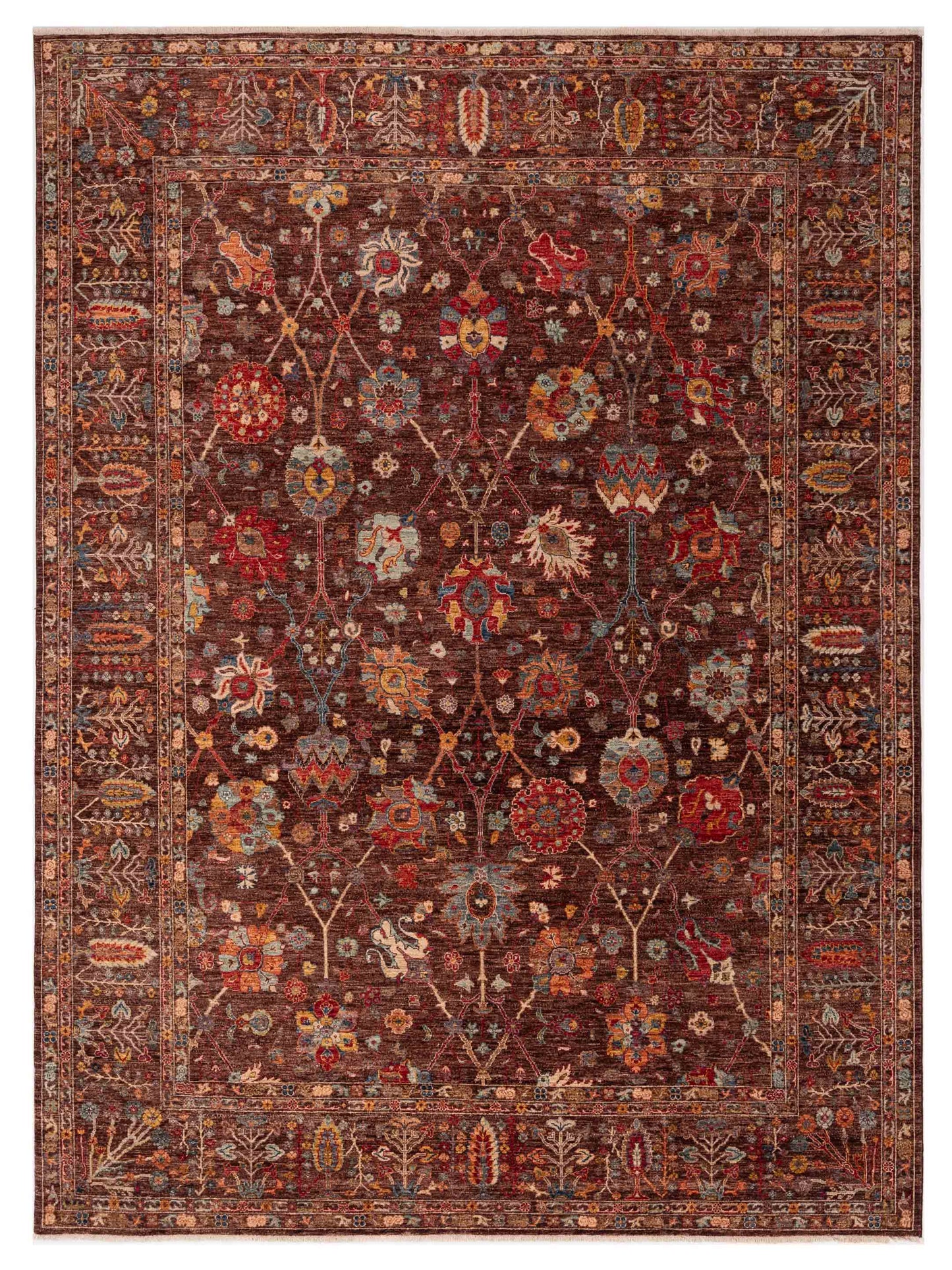 Pasha Sultan  Brown Brown Traditional