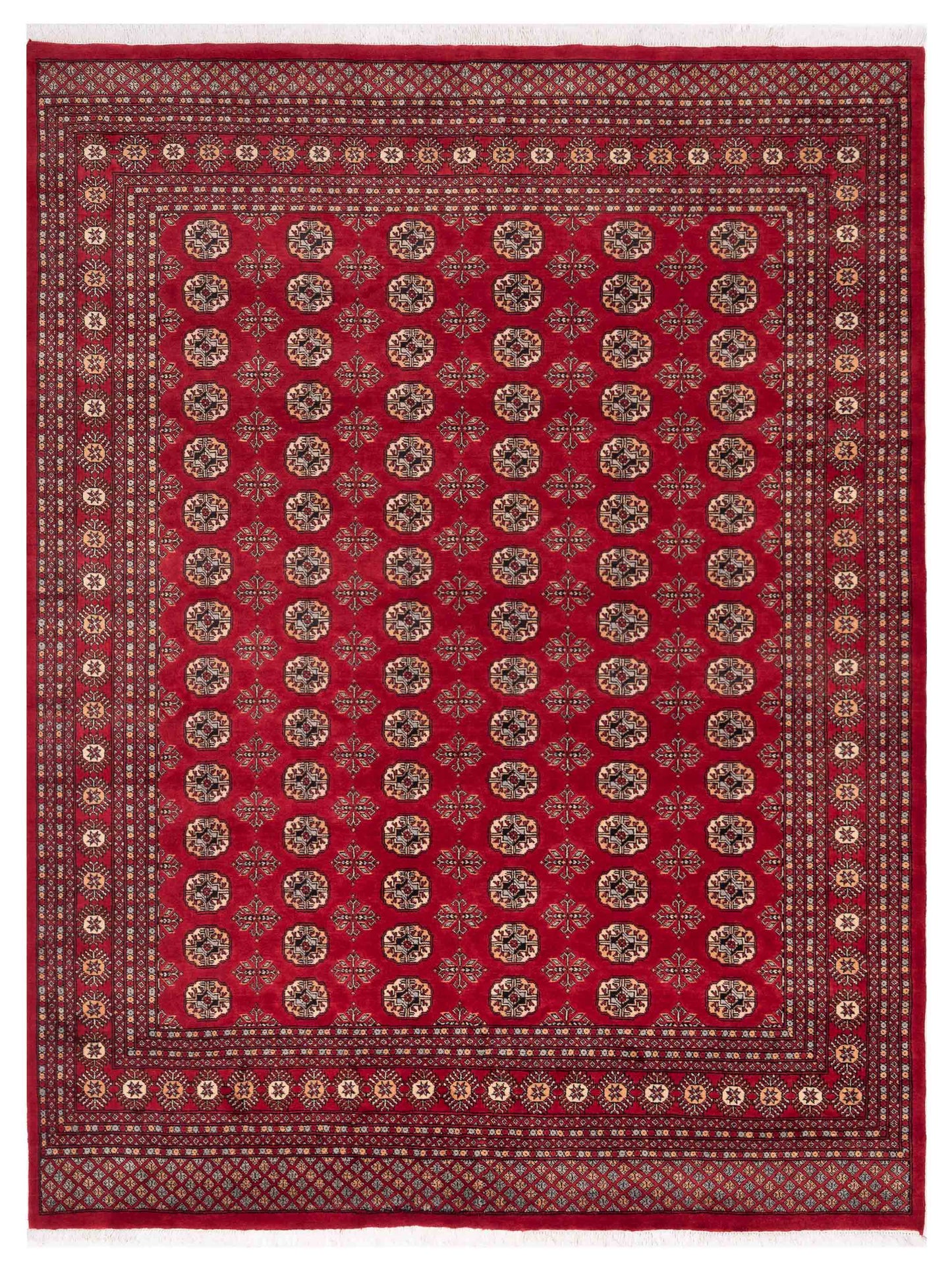 Nomad Bokhara  Red Red Traditional