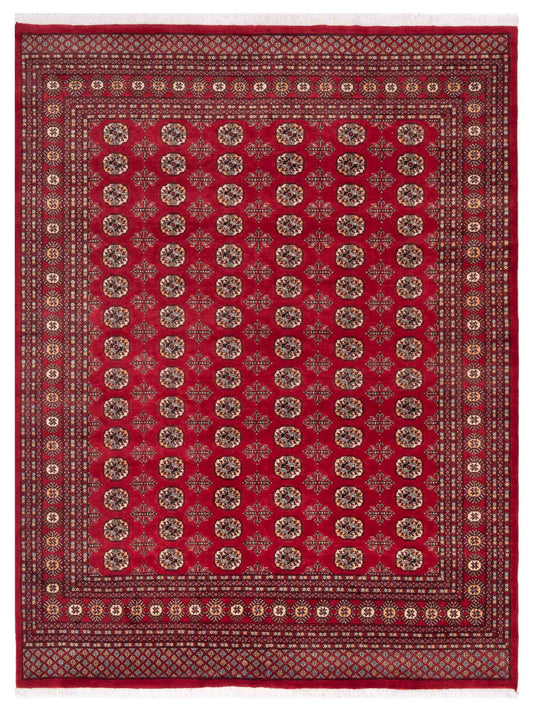 Nomad Bokhara  Red Red Traditional