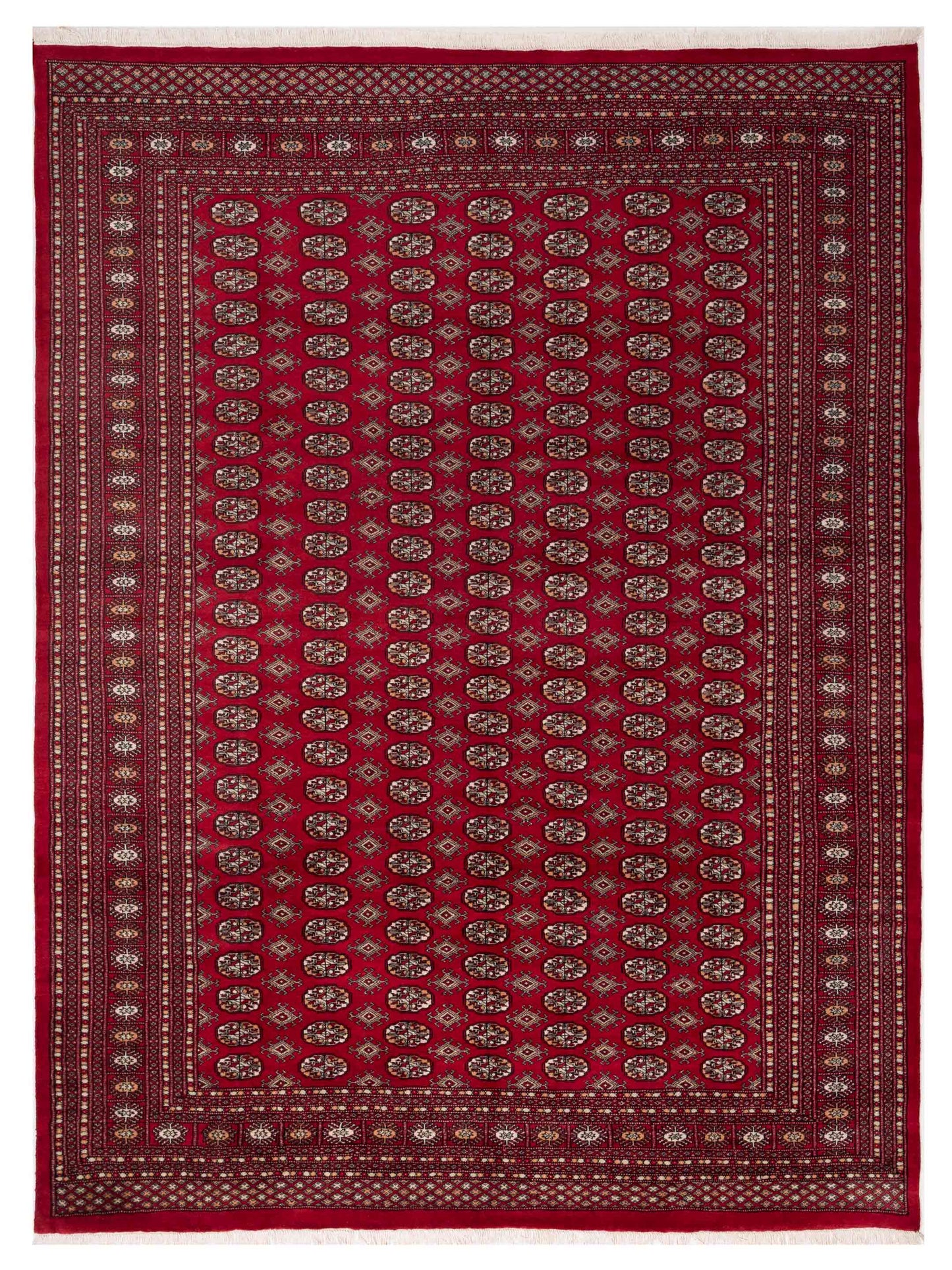 Nomad Bokhara  Red Red Traditional
