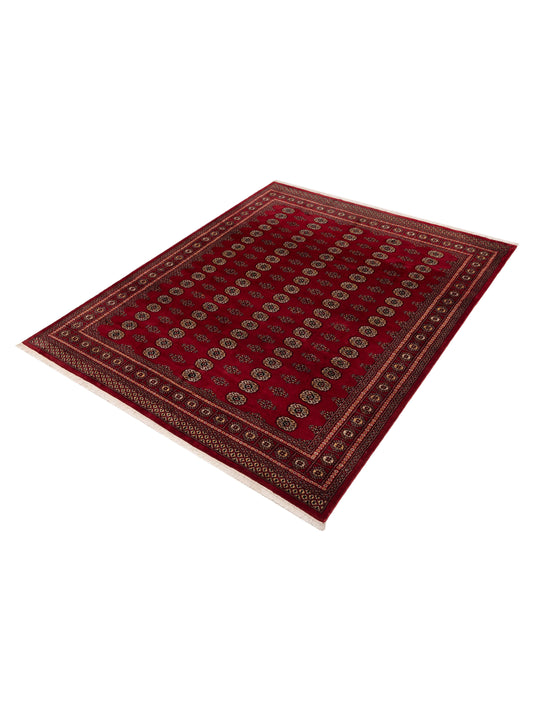 Bokhara Red Red 8.2x9.11 Hand Knotted Rug
