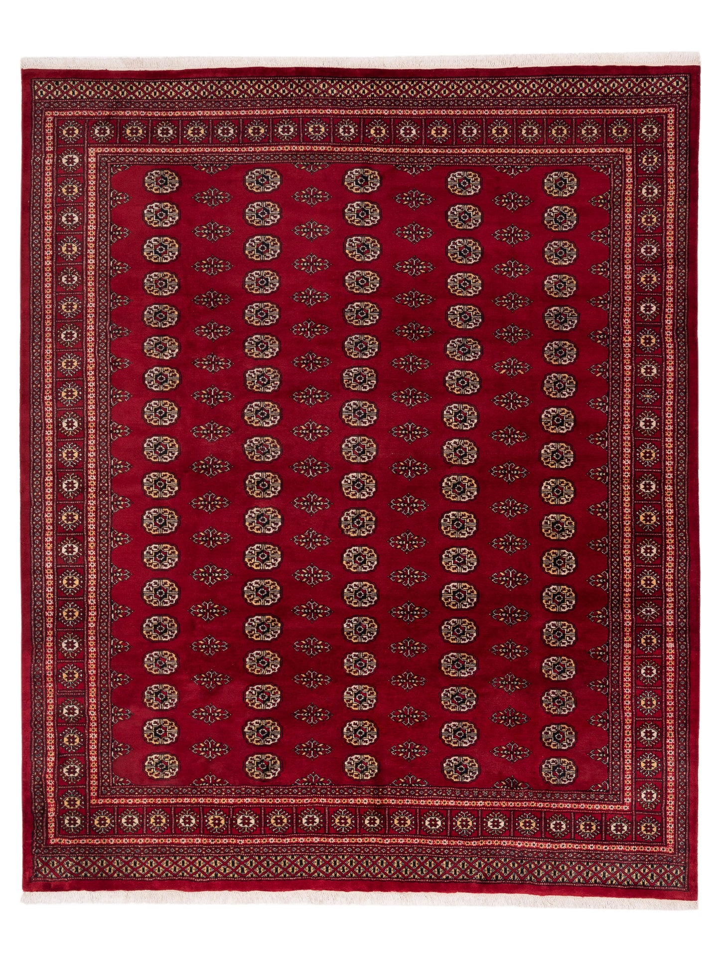Nomad Bokhara  Red Red Traditional