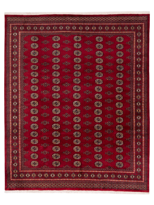 Nomad Bokhara  Red Red Traditional