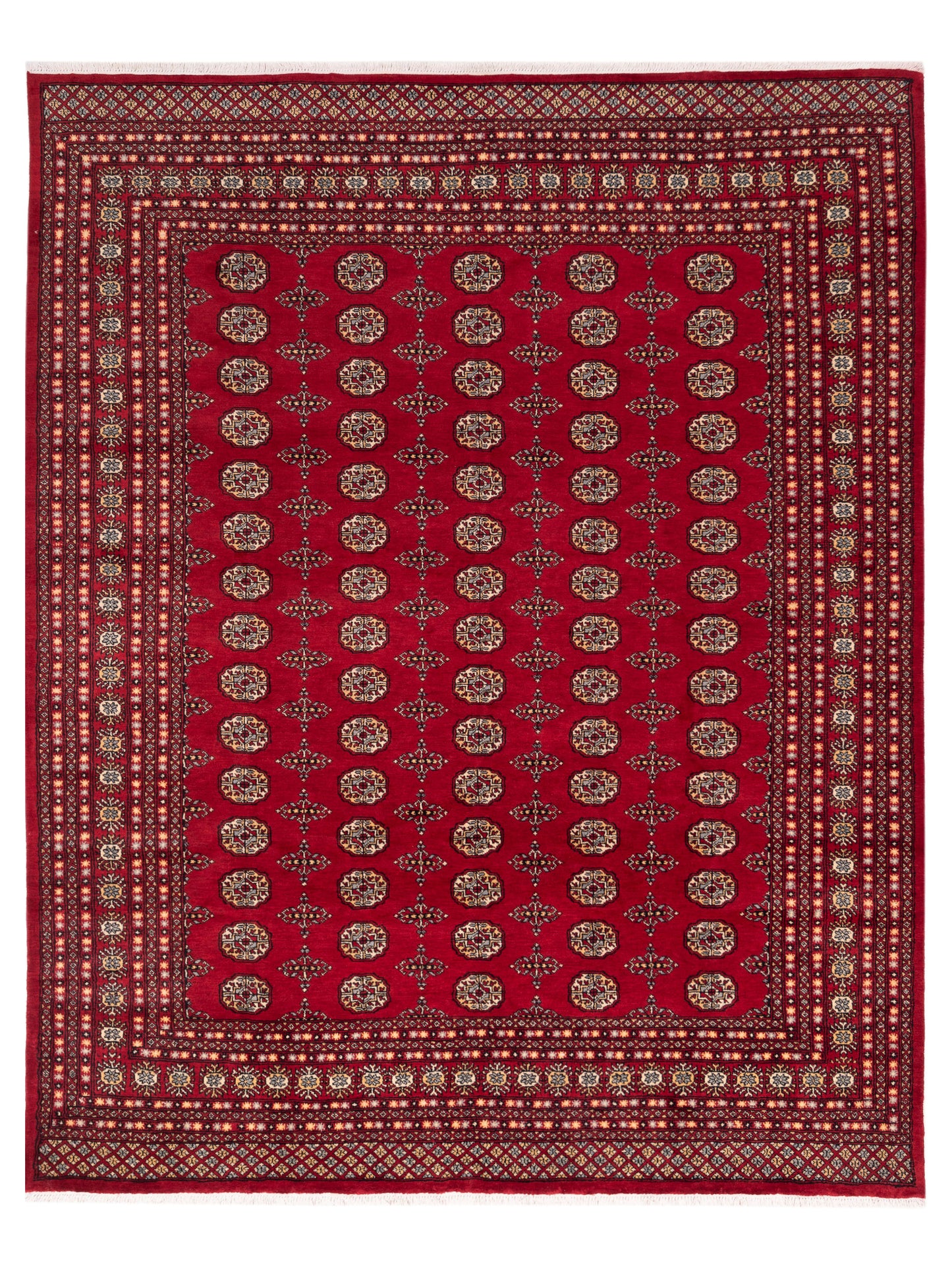 Nomad Bokhara  Red Red Traditional