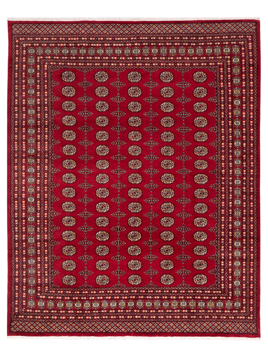 Nomad Bokhara  Red Red Traditional