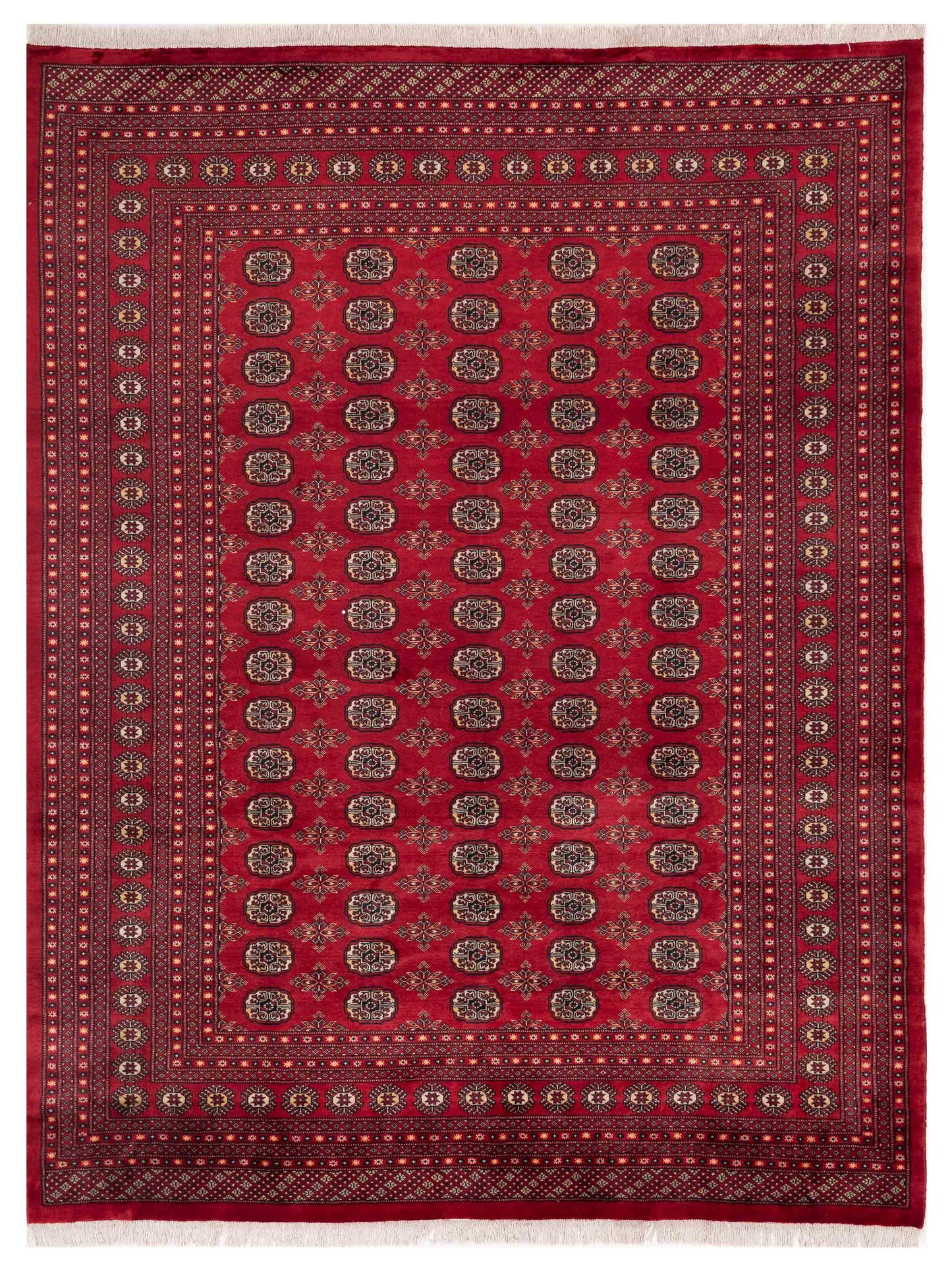 Nomad Bokhara  Red Red Traditional