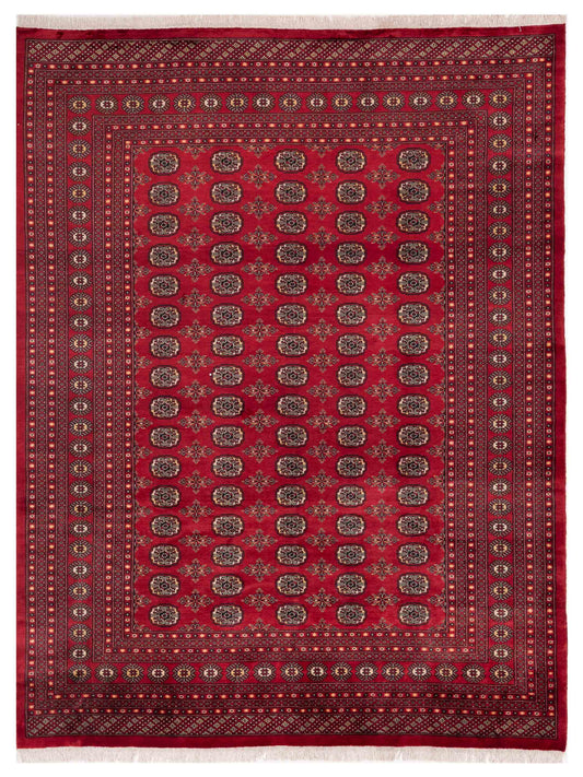 Nomad Bokhara  Red Red Traditional
