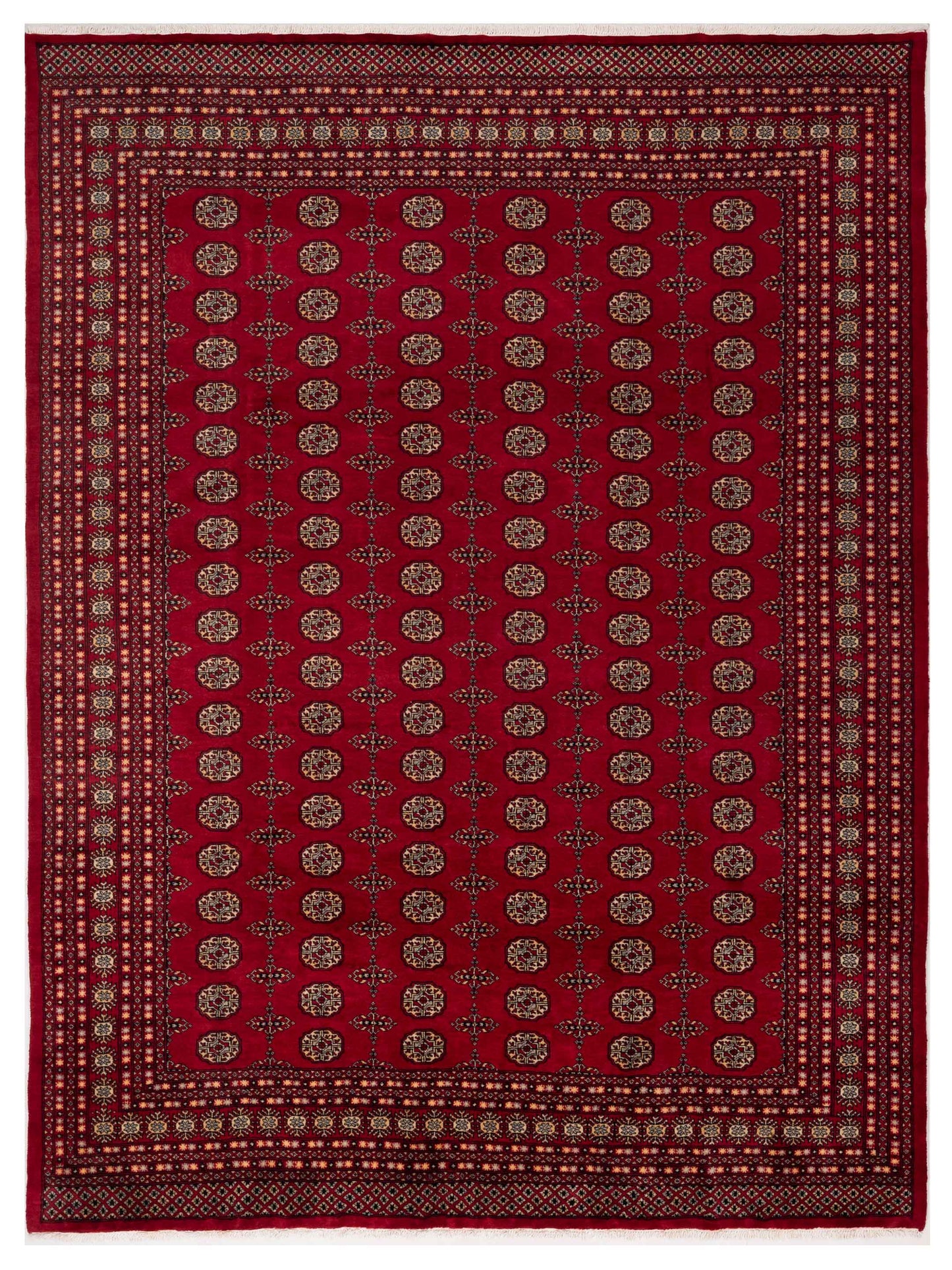 Nomad Bokhara  Red Red Traditional