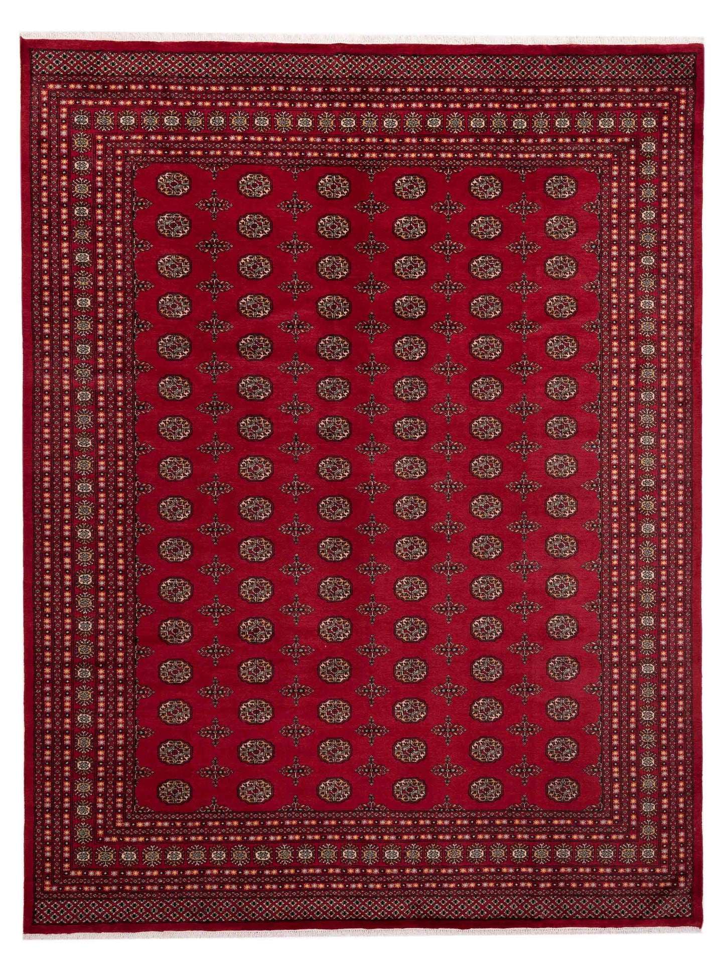 Nomad Bokhara  Red Red Traditional