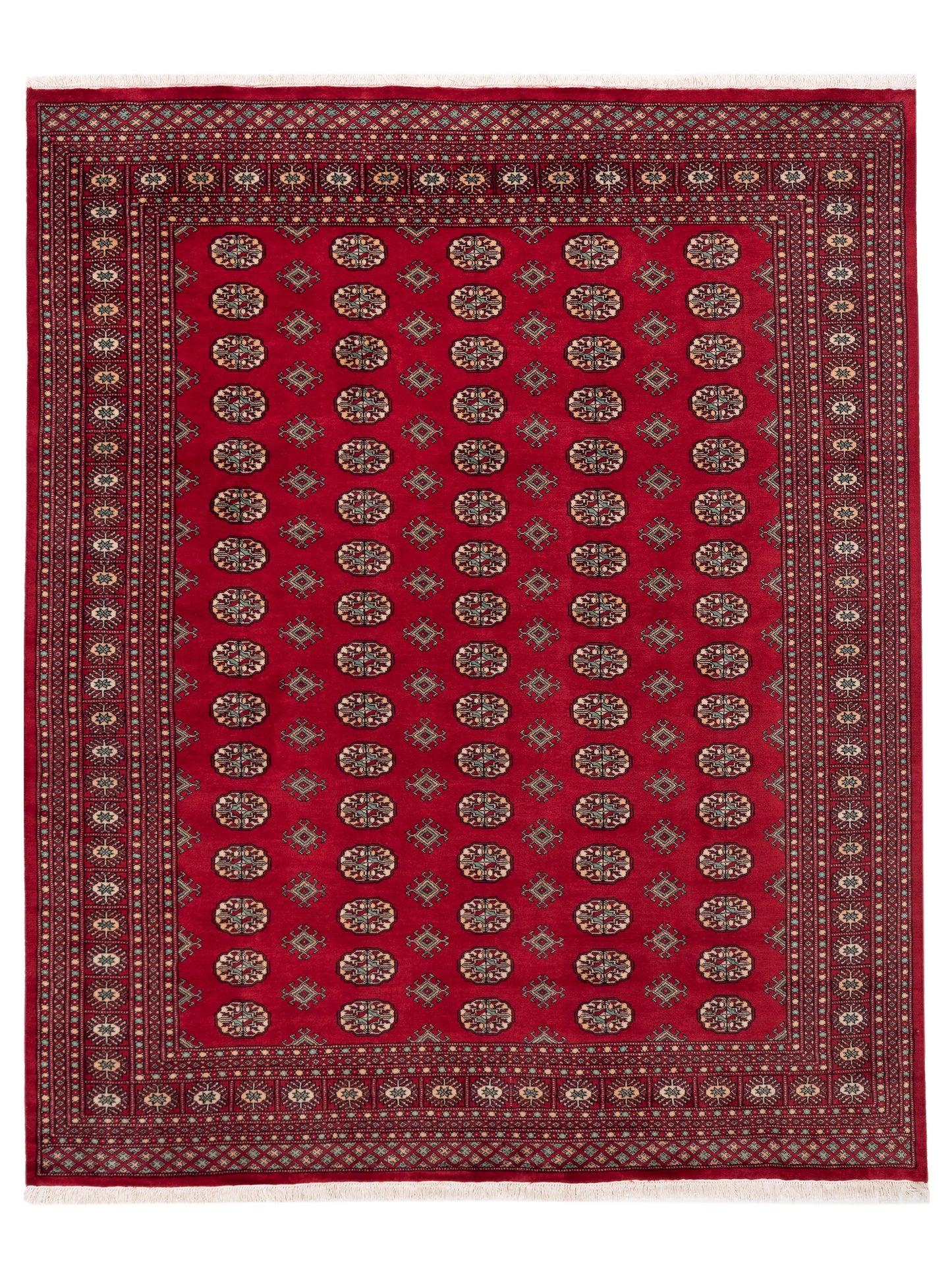 Nomad Bokhara  Red Red Traditional