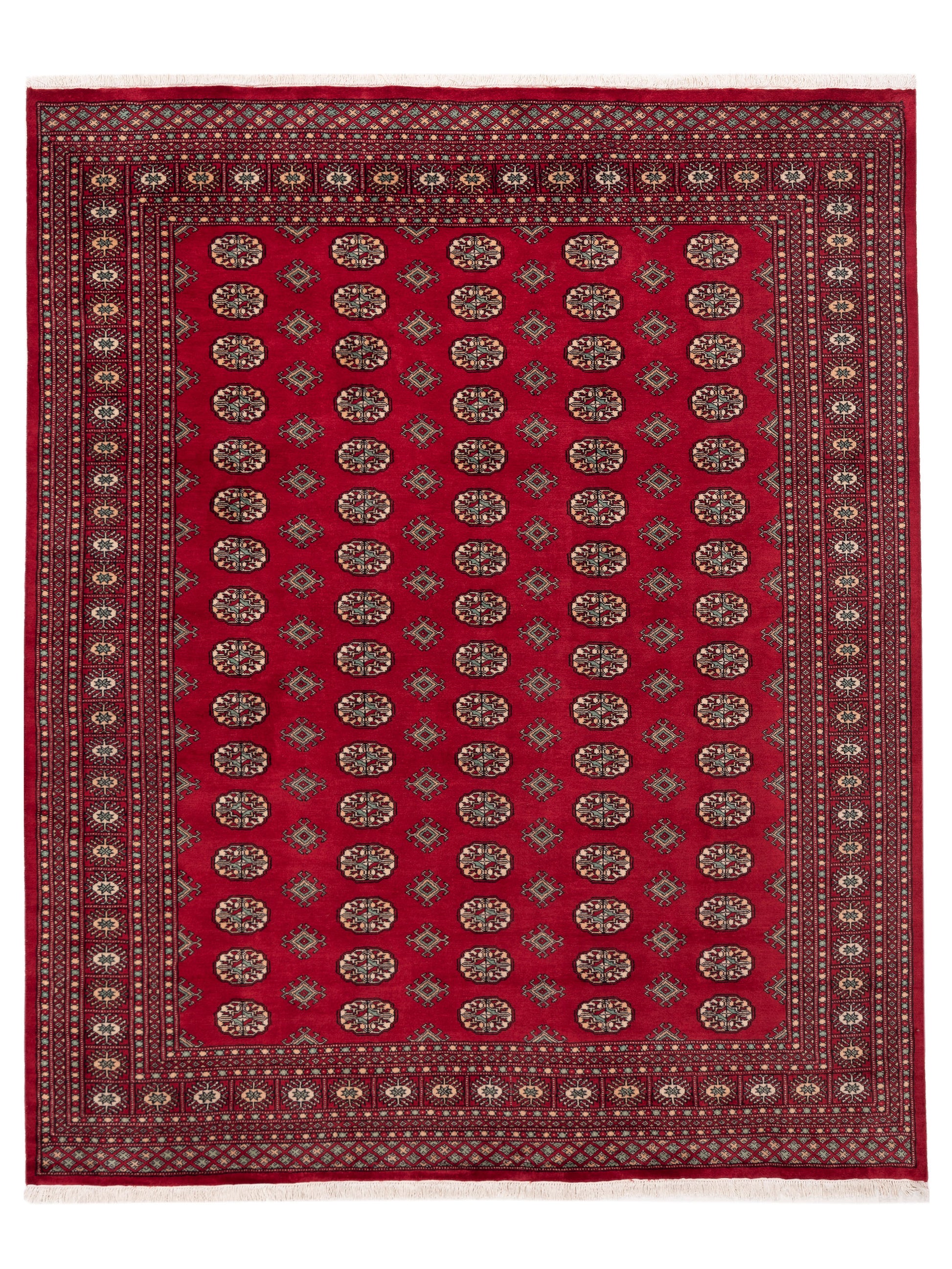 Nomad Bokhara  Red Red Traditional