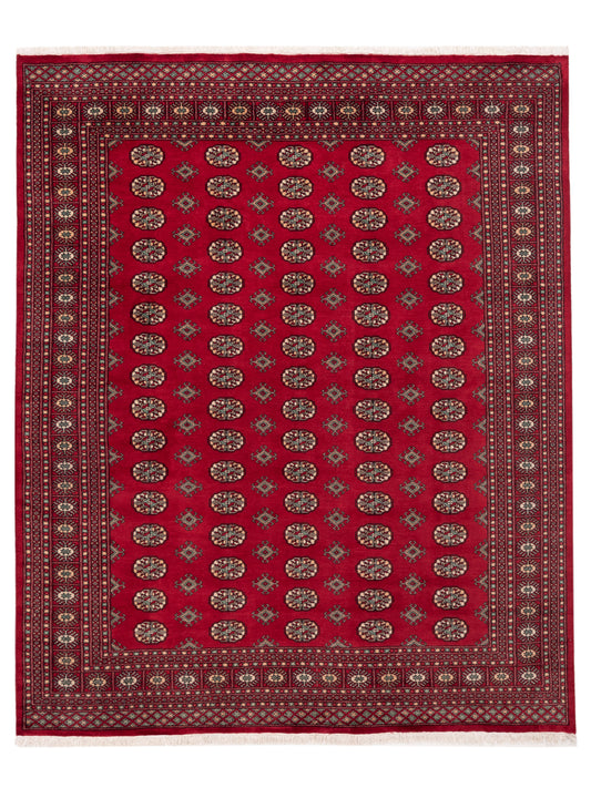 Nomad Bokhara  Red Red Traditional