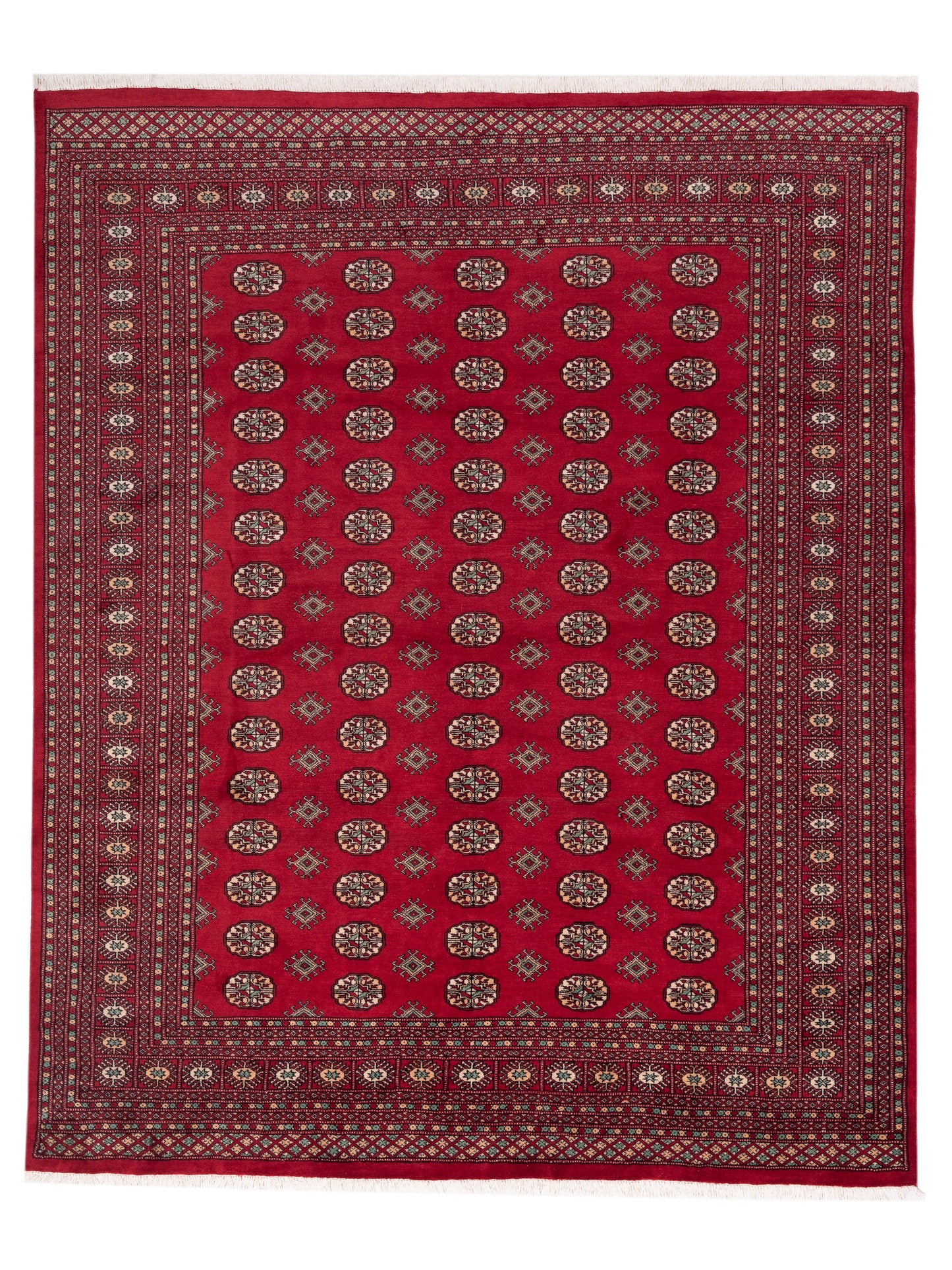 Nomad Bokhara  Red Red Traditional