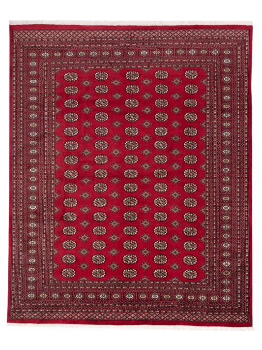 Nomad Bokhara  Red Red Traditional