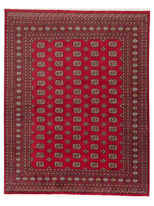 Nomad Bokhara  Red Red Traditional