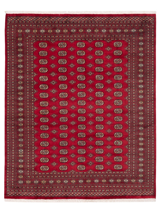 Nomad Bokhara  Red Red Traditional