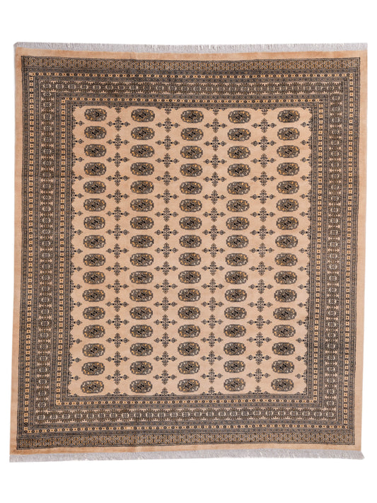 Nomad Bokhara  Beige Beige Traditional
