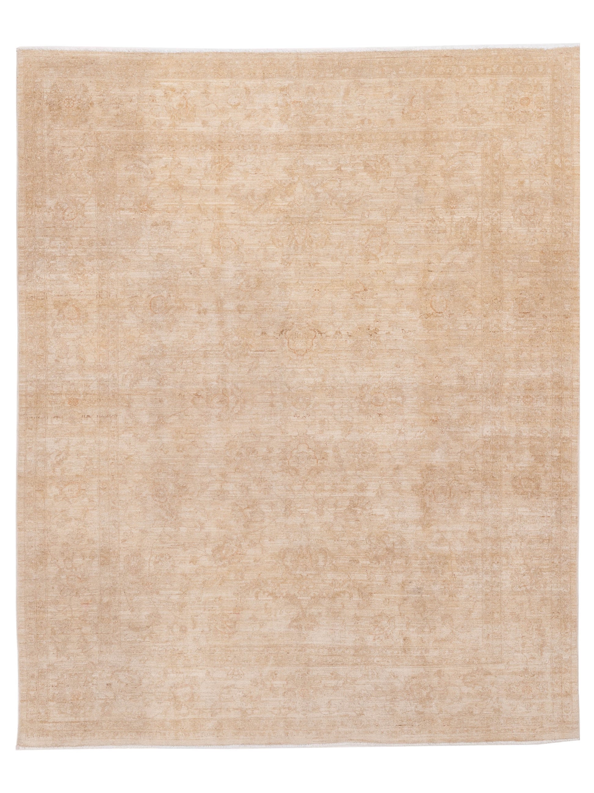 Pasha Sultan  Ivory Ivory Traditional