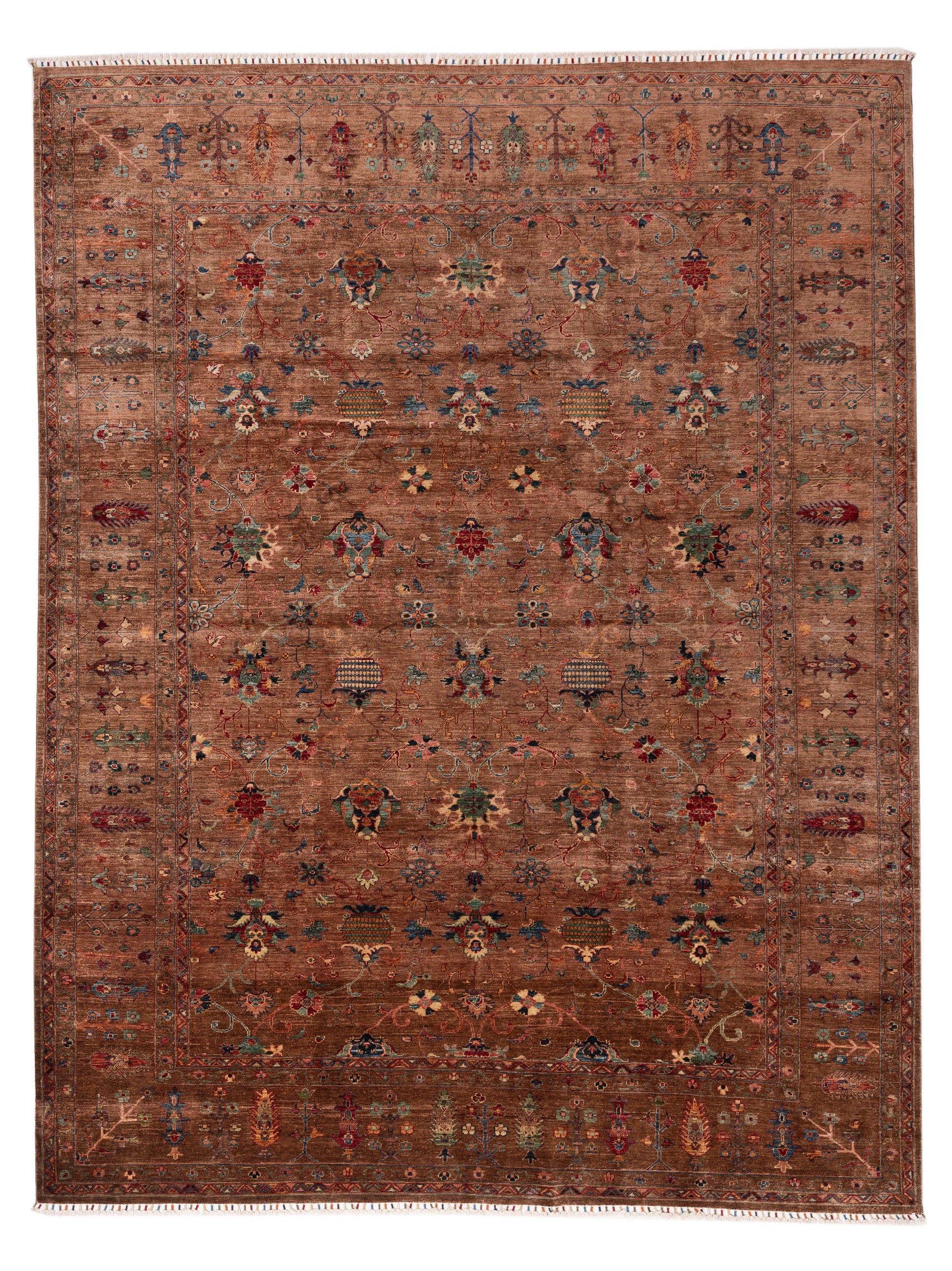 Pasha Sultan  Brown Brown Traditional