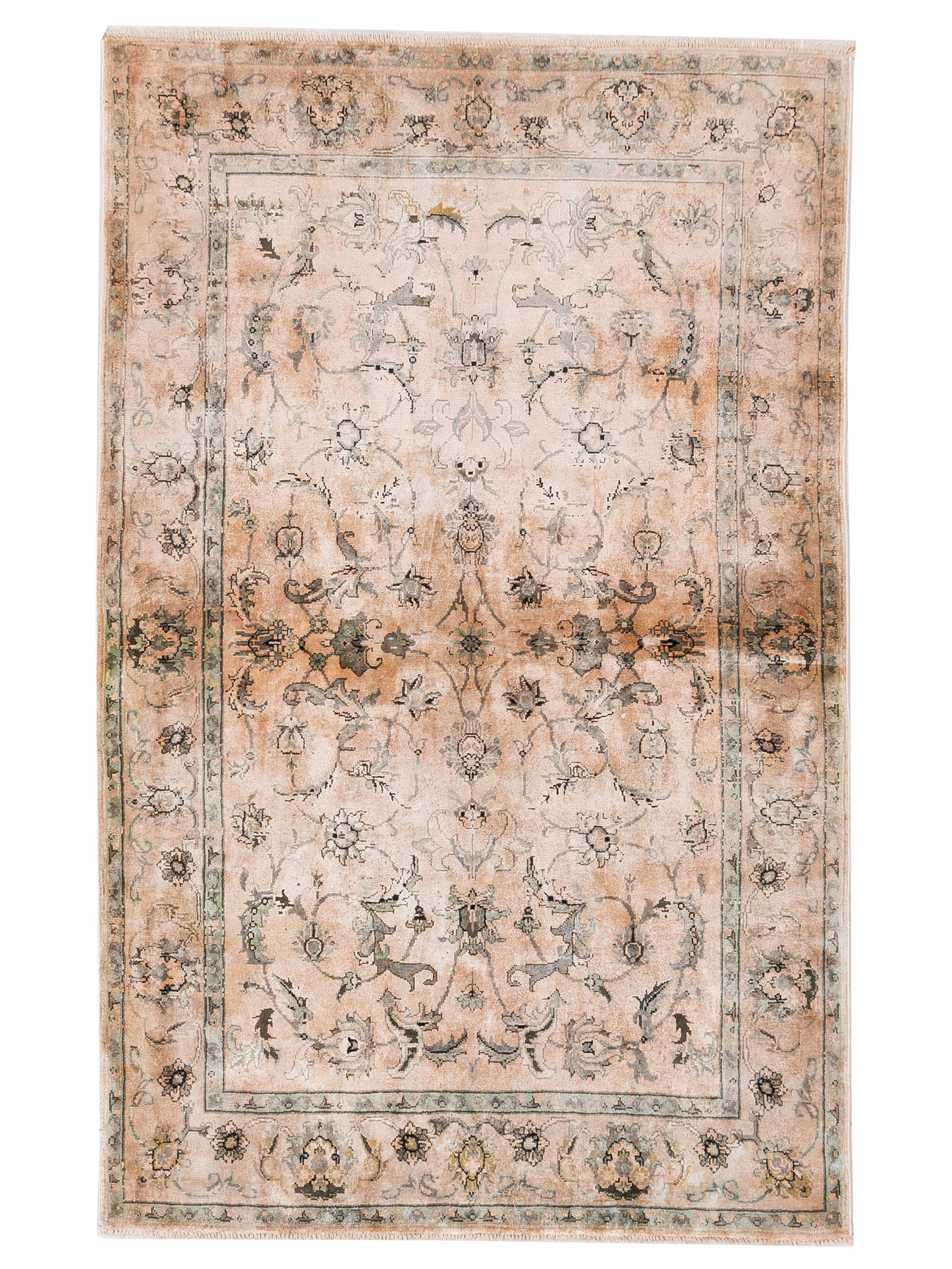 Rajpur Imperial  Beige Beige Transitional