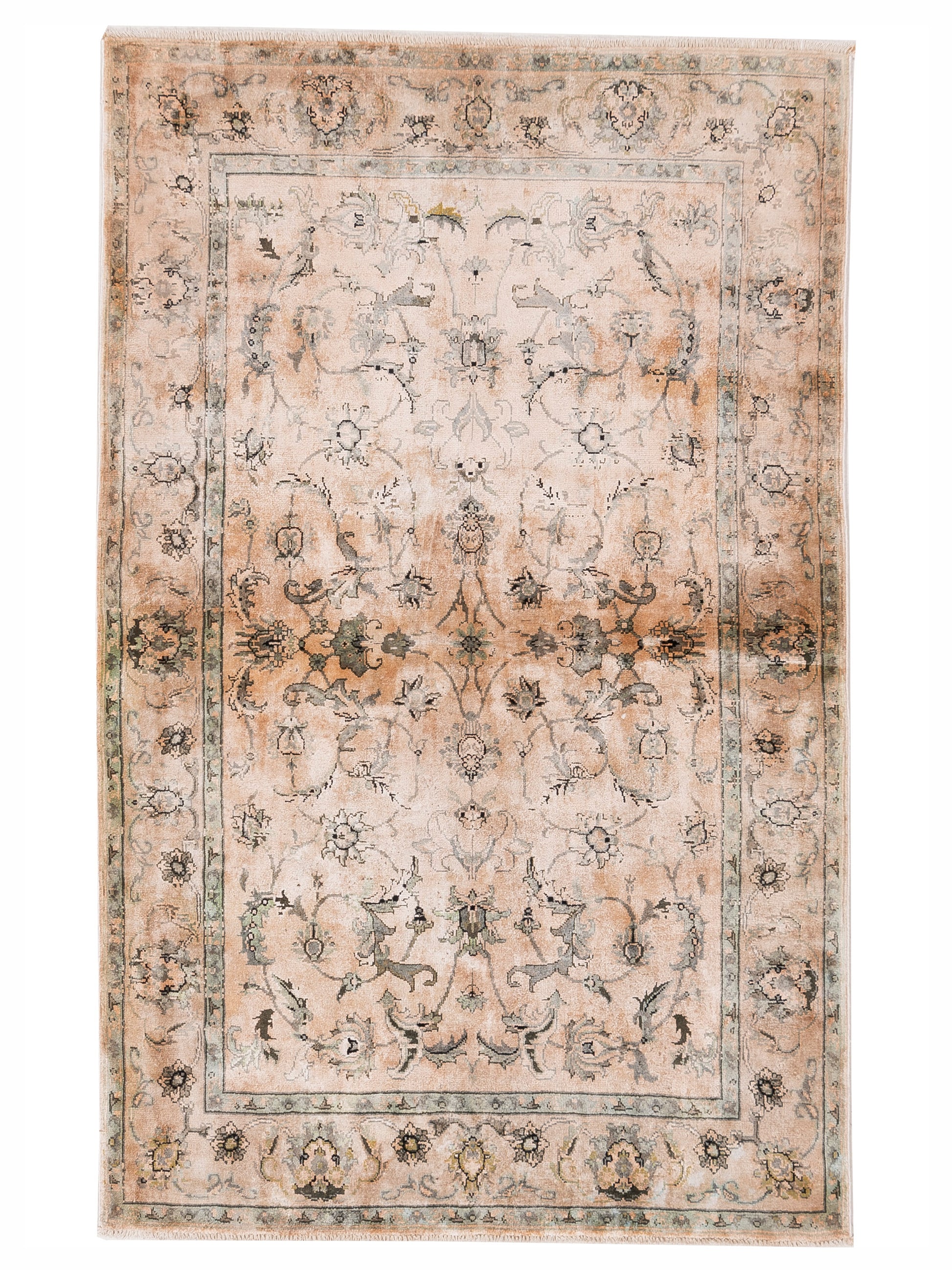 Rajpur Imperial  Beige Beige Transitional