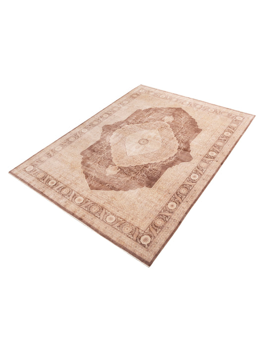 Jallira Brown Beige 9.2x12.4 Hand Knotted Rug