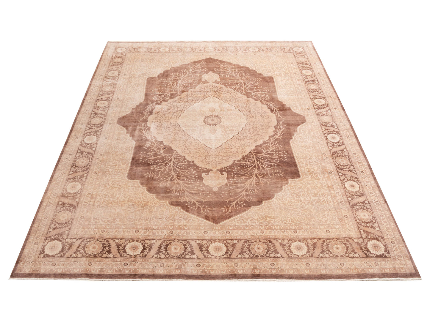 Jallira Brown Beige 9.2x12.4 Hand Knotted Rug