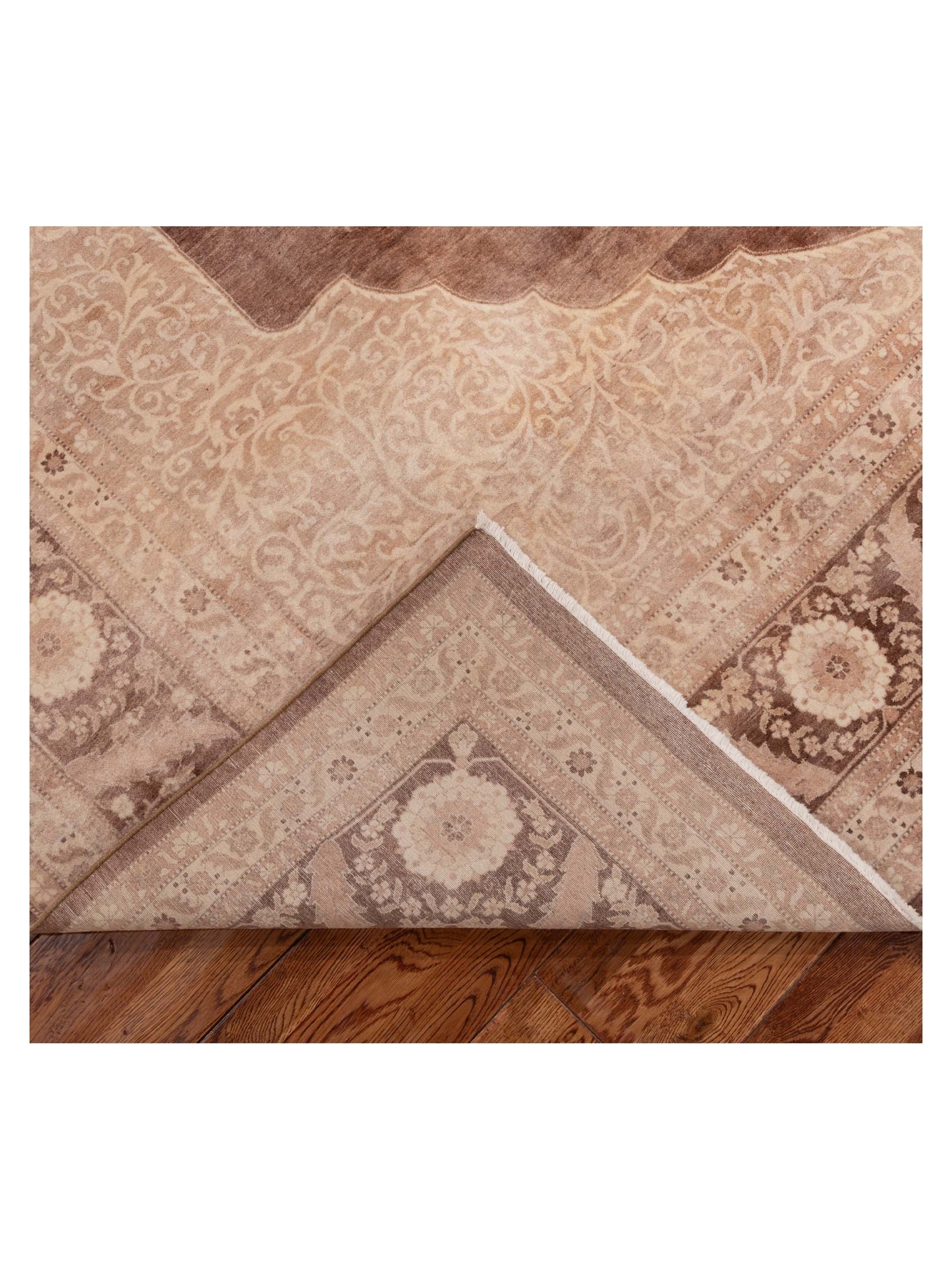 Jallira Brown Beige 9.2x12.4 Hand Knotted Rug